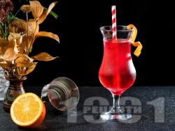   Lemon Daisy     -   